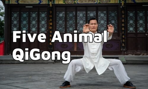Five Animal Qigong